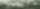 Forest with fog representing FREOR’s commitment to sustainability