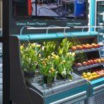 Commercial-display-cooler-URANUS-FLOWER-FREOR