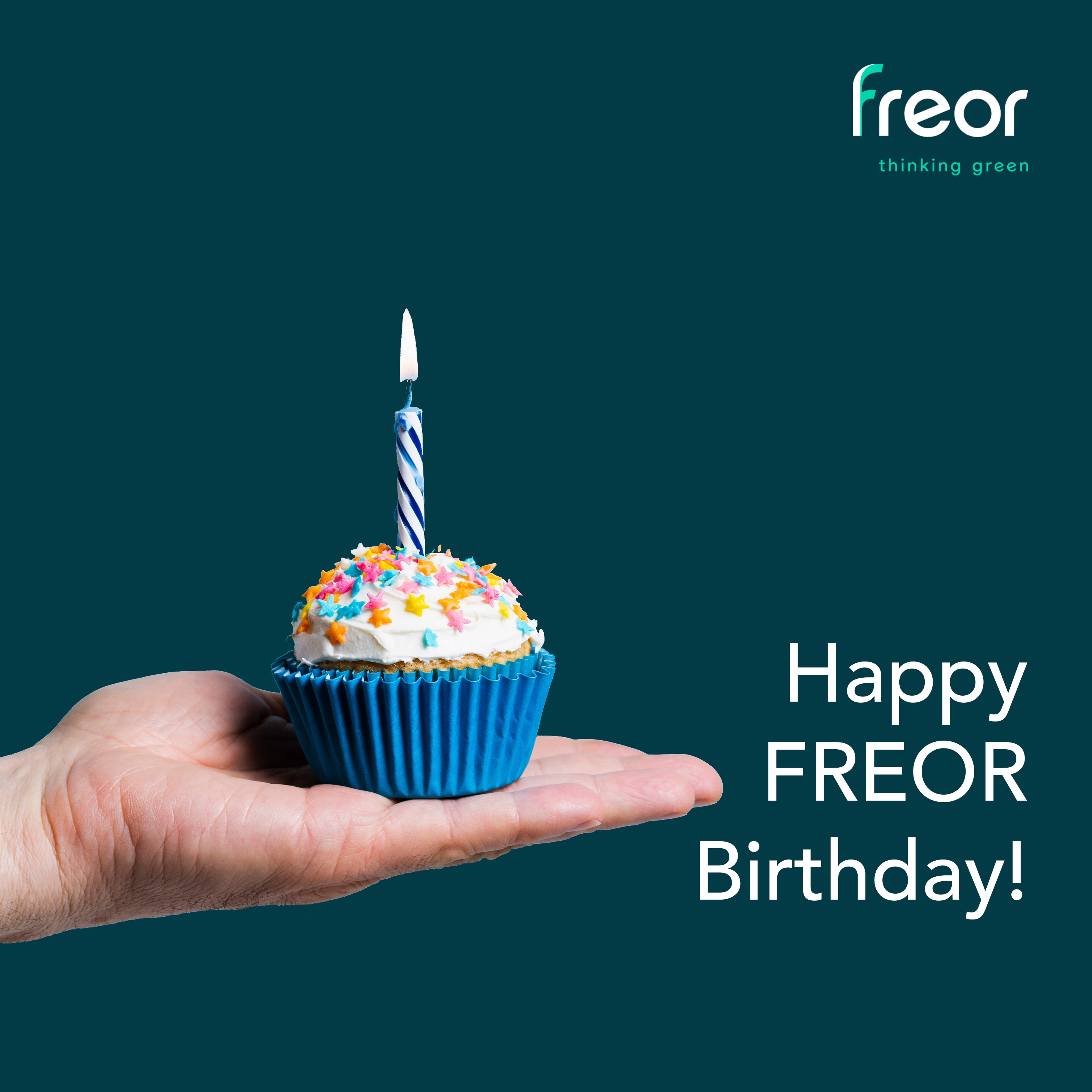 FREOR birthday 22 experience fast delivery commercial refrigeration equipment